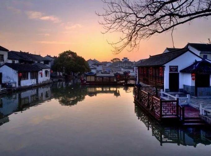 破碎的动物图形3